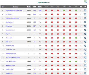 Domain Record